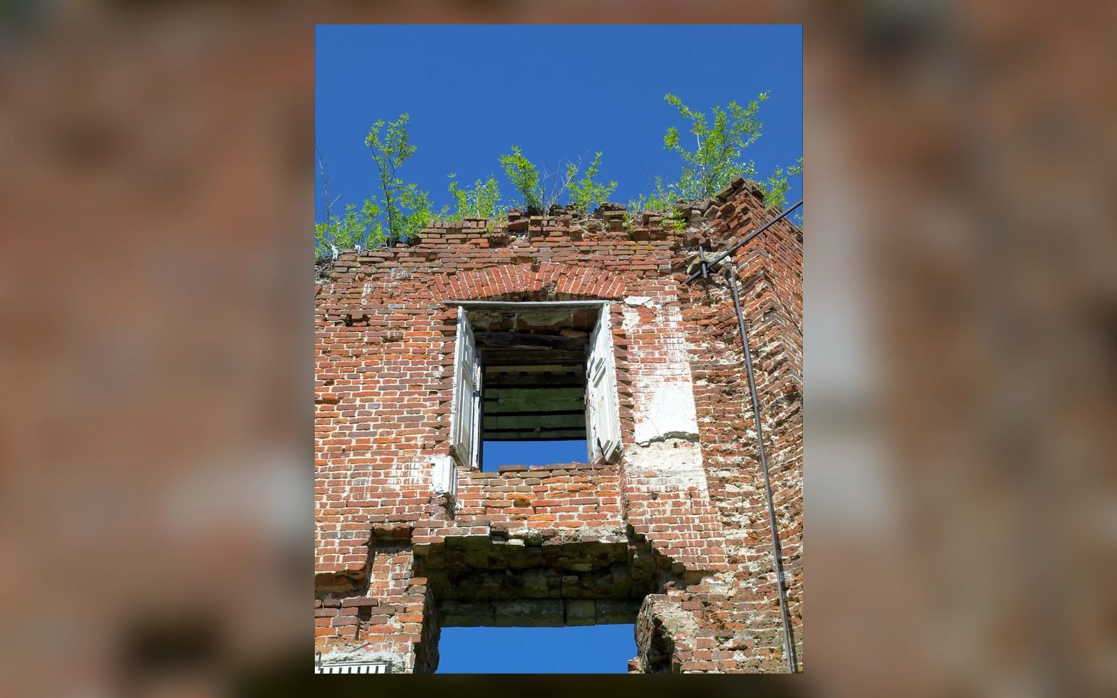 Оконный проём главного дома усадьбы Петровское-Алабино