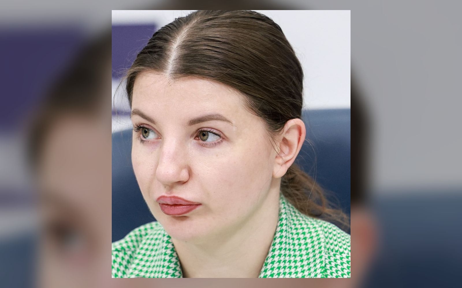 Дроны, «Эфко» и Новый год за решёткой: арест Аллы Половчени продлили до конца января
