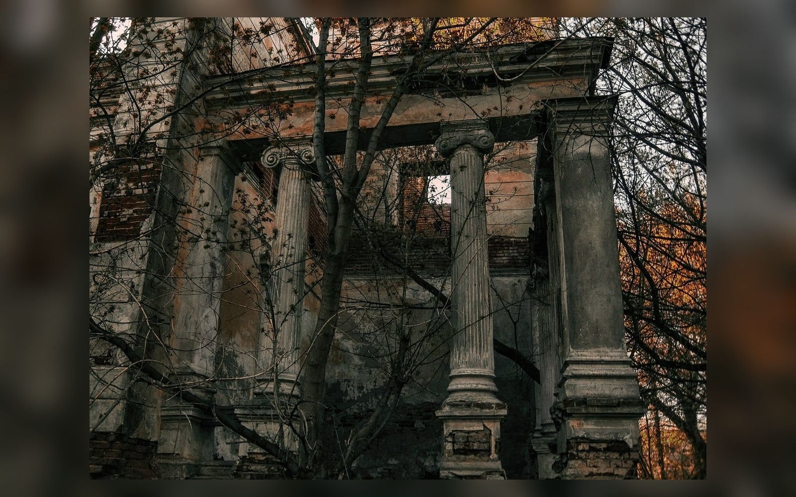 Ионические колонны главного дома усадьбы Никитинских, Костино