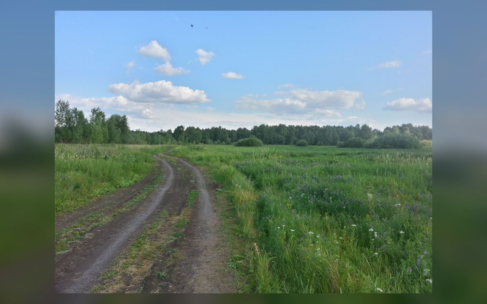 Грунтовая дорога в пойме, Куйбышевский район Самары