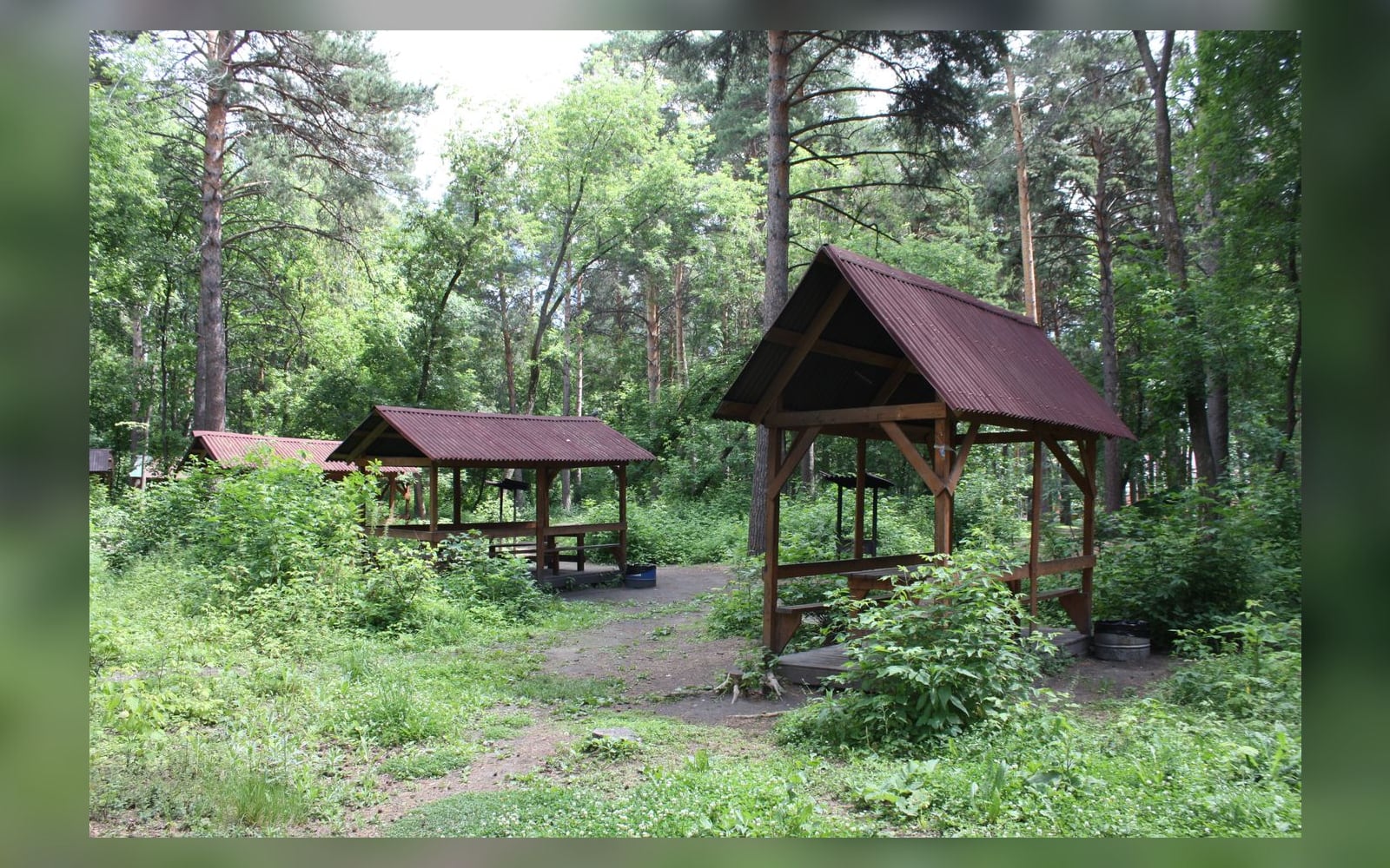 Беседки в парке «Сосновый бор», Новосибирск