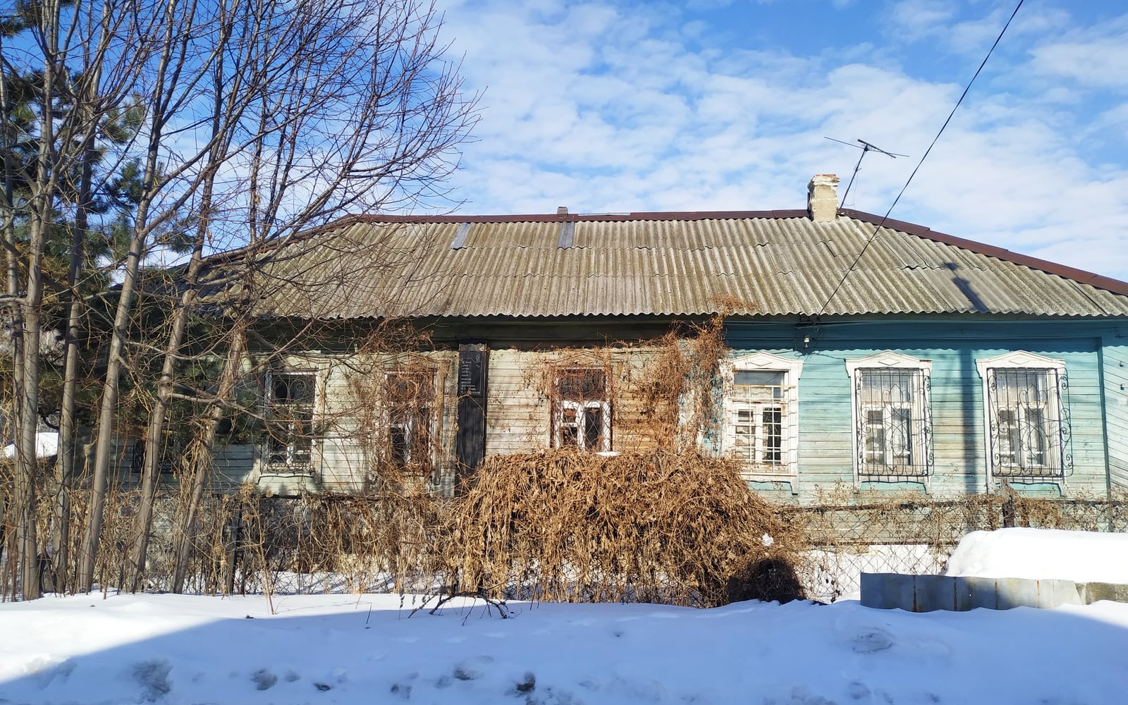 Музей Репина здесь обещали в 1953-м. Дождались пожара и Верховного суда